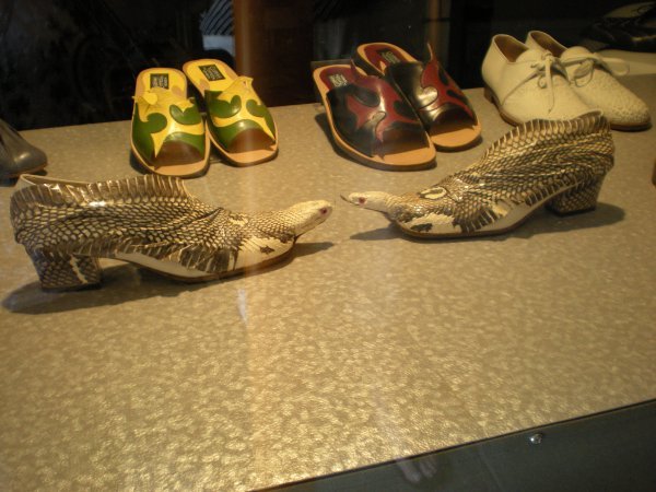 I have heard of snake skin shoes.. but this is over the top