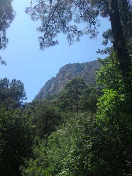 Canyon - walking trail