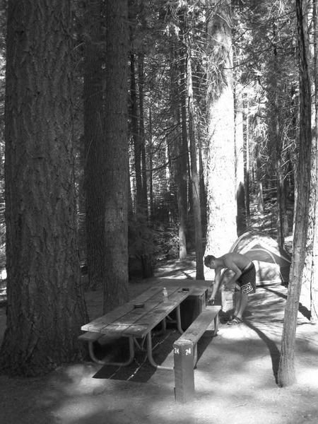Campsite, Yosemite National Park