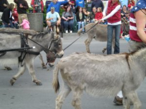More Donkeys
