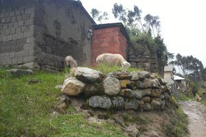 Around the Ingapirca ruins