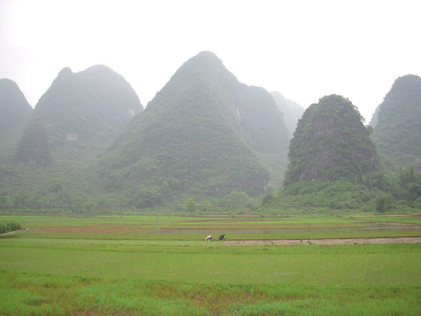 Karst formations near Yangshuo