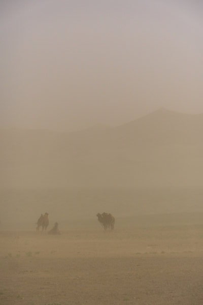 Sandstorm, Gobi