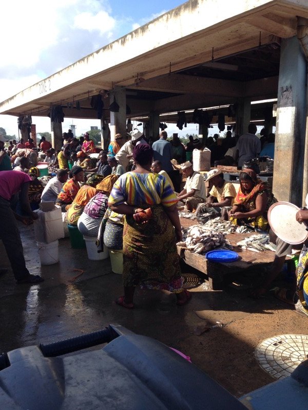 Dar es Salaam fish market 