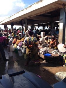 Dar es Salaam fish market 