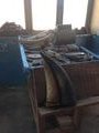 Zebu horn craft factory - Antsirabe
