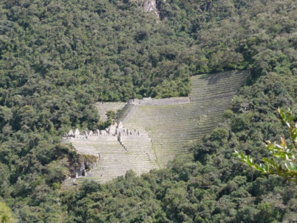 Inca Trail 052