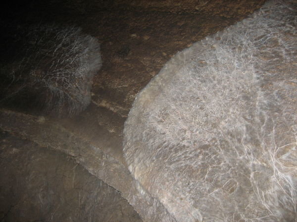 Cave Mold
