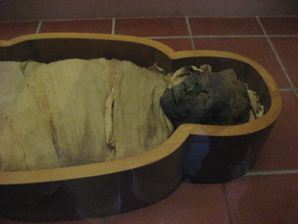 Egyptian Mummy.