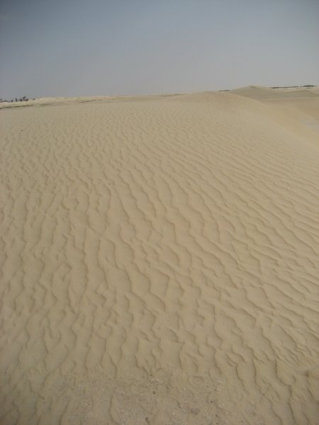 The Sahara dunes. 
