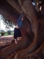 Me and the Gigantic Tree