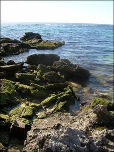 Rocks and moss