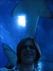 Kelly and my sharks