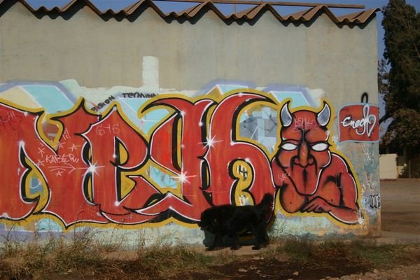 Graffiti in San Quintin residential streets