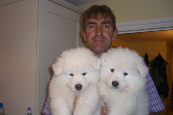 dave with the puppies.