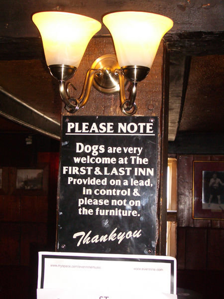 Dogs in pubs!