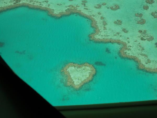 The Famous Heart Shaped Reef