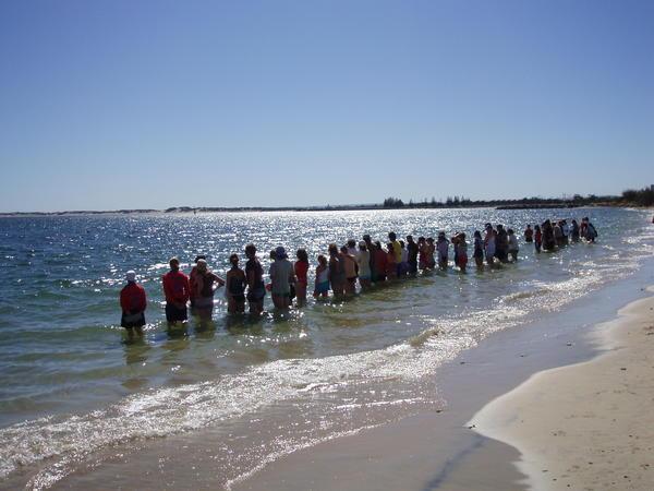 Line up for Dolphins