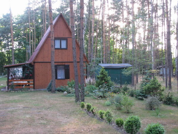 Lodz Forest