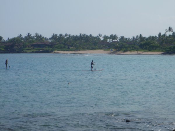 Hawaiian Stand Up Paddle Surfer