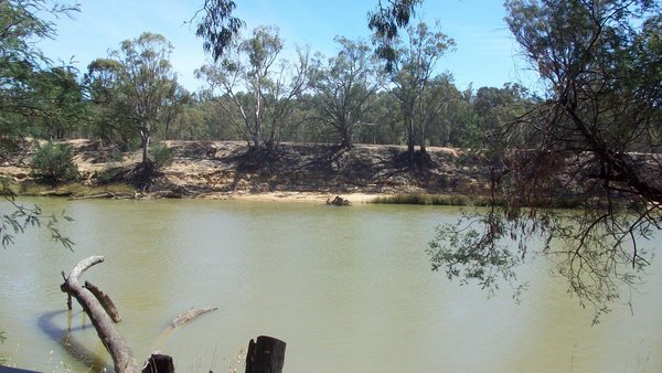 Our camp at Echuca