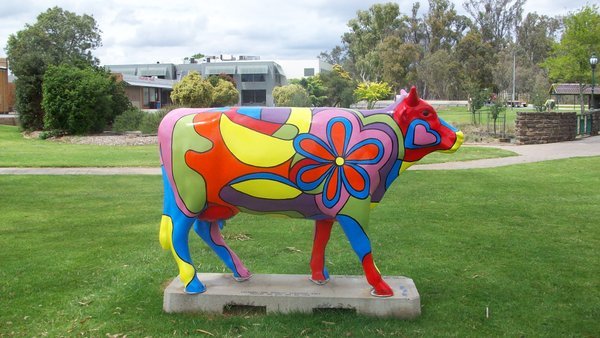 one of the painted cows at Shepparton