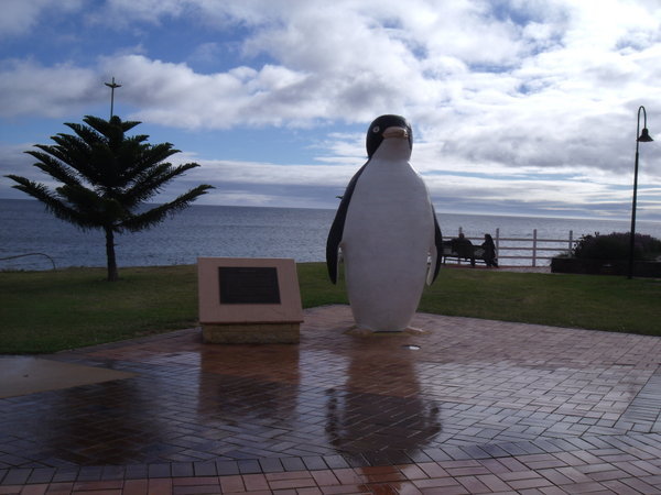 The Big Penguin