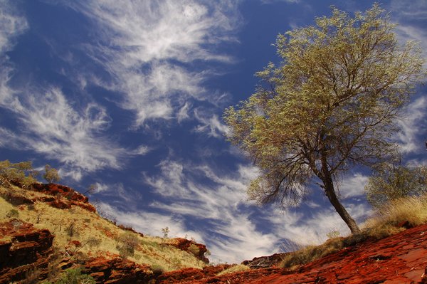 Western Australian Skies