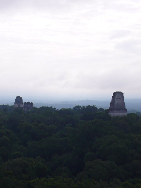 Another from Tikal