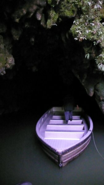 The Waitomo Caves