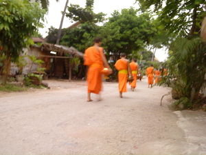 Monks receiving alms in the morning