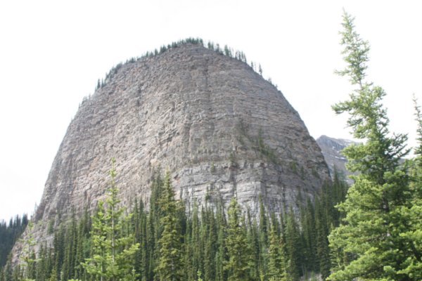 The Large Beehive
