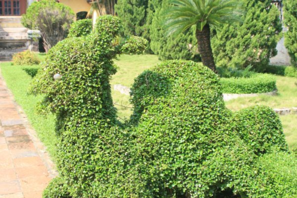 A less impressive dragon disguised as a bush / camel combo 