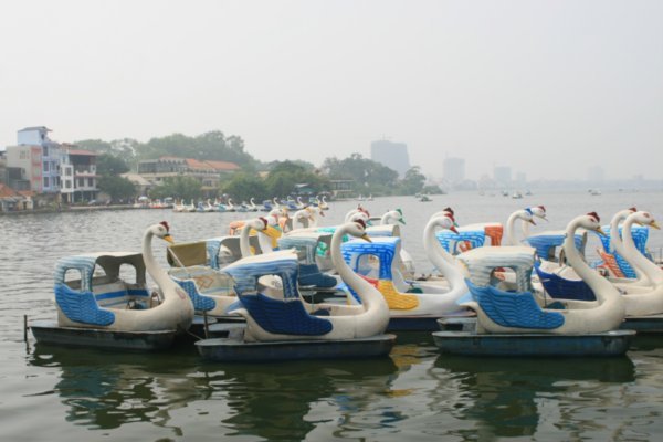 Pedalos on West Lake, Hanoi