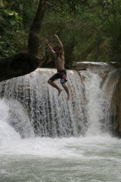 Lunatic jumps from tree to watery abyss.
