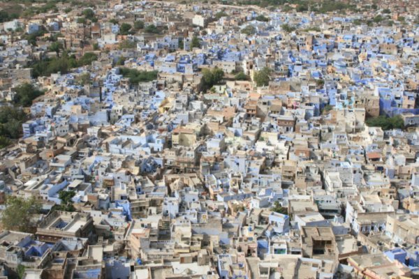 Jodphur - The Blue City