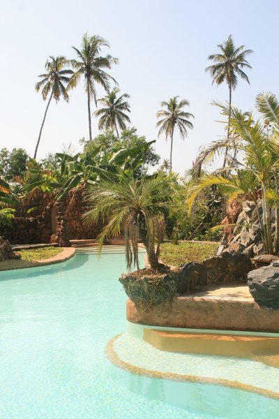 Yoga camp - pool / palm tree combo