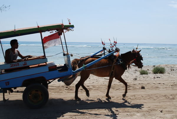 Gili T horsecart taxi