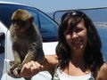 monkey on me!