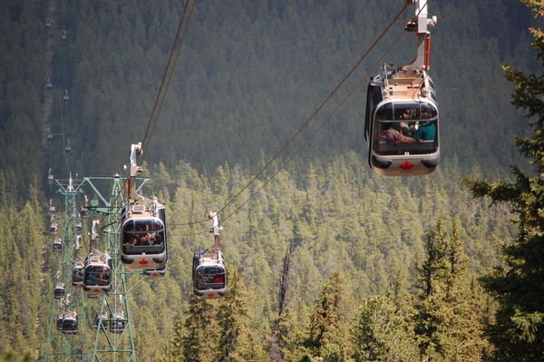 Banff Gondola-They pack em in!