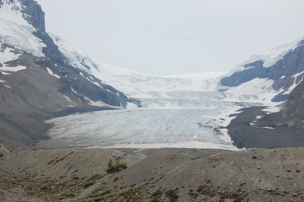 Columbia Icefields-Athabasca Glacier