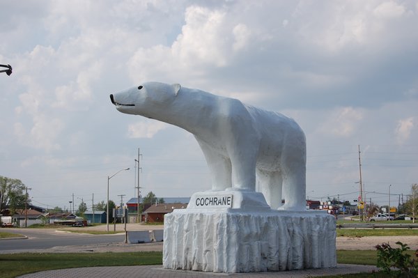 Cochrane Polar Bear Mascot