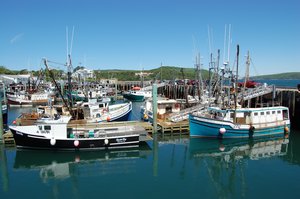 Fishing boats in Digby Harbor
