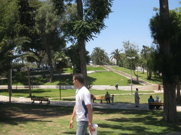 Medina park