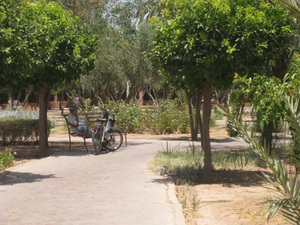 Lots of peole sit with their motor bikes in Marrakech parks