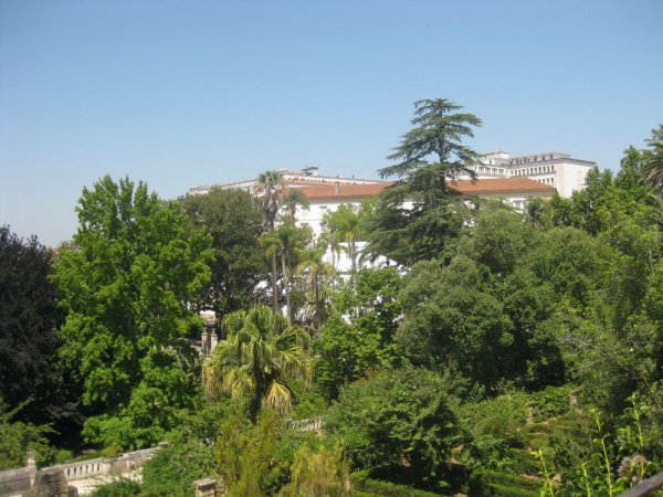Coimbra heights