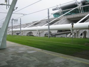 Grass coverd tram tracks at Porto airport