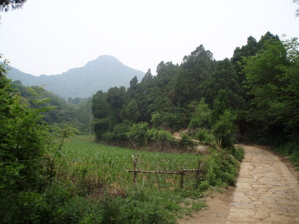 Songshan  mountain