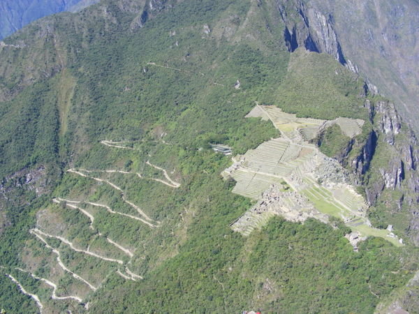 Machu Picchu & Steps up