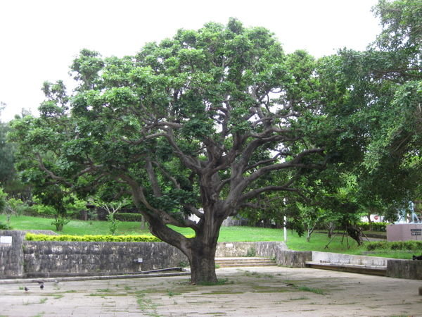 Matsuyama Park